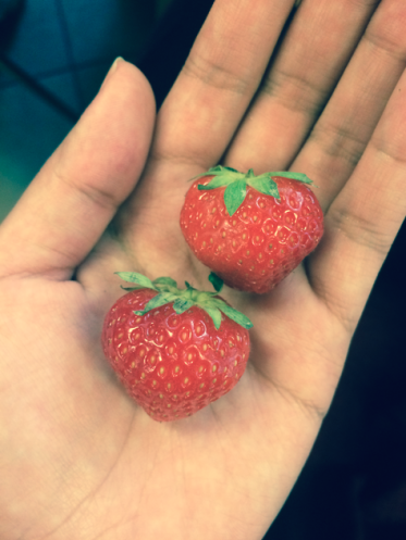 strawberries